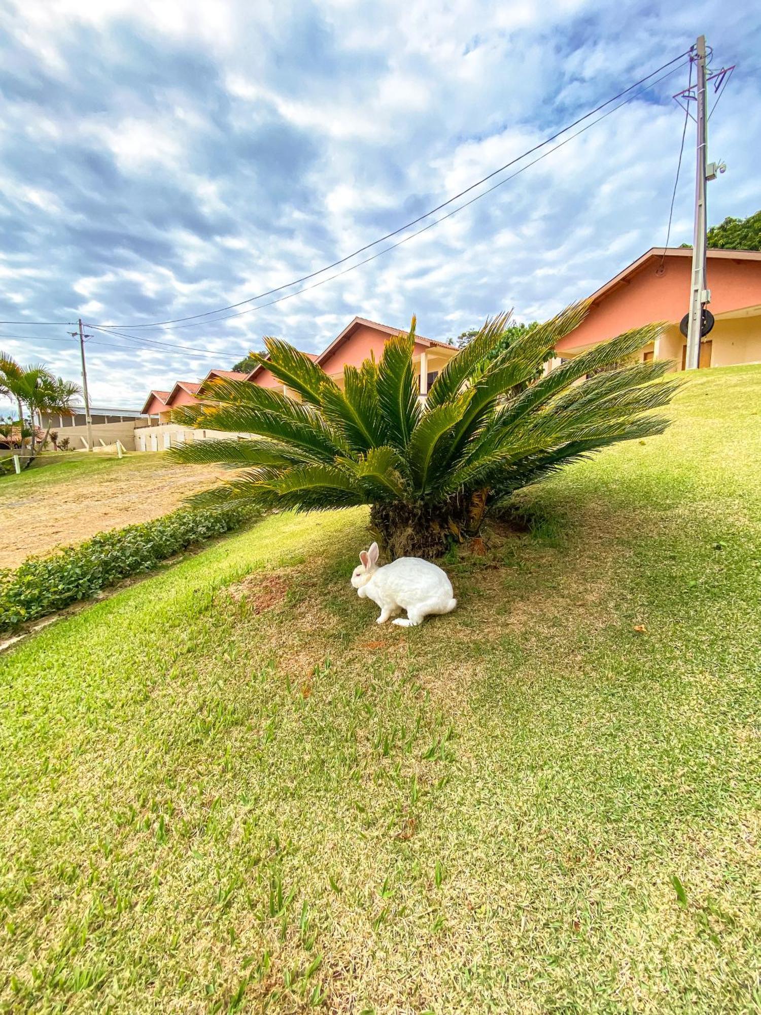 Pousada Flores Do Campo Águas de Lindóia Exterior foto